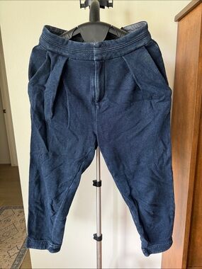 Ag Adriano Goldschmied Women's Cropped Navy Pleated Pants
